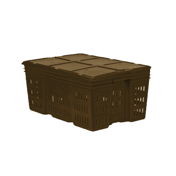 10 04 2024 06 15 07 085 VEU0036.011.png