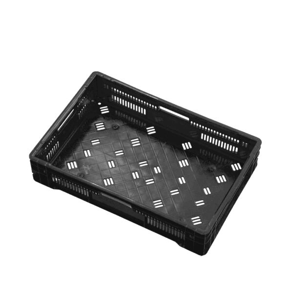 10 04 2024 06 15 36 875 VEU0068.003.png