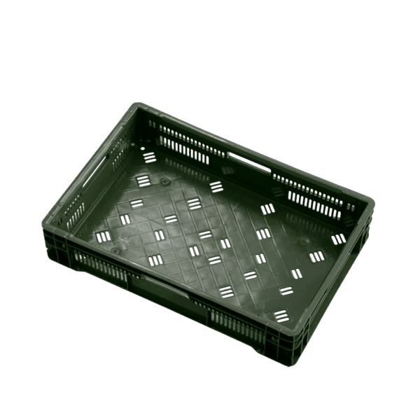 10 04 2024 06 15 37 311 VEU0068.005.png