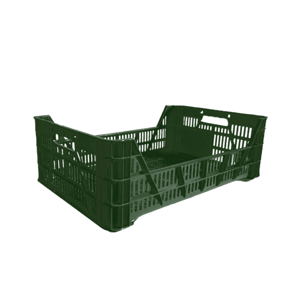 10 04 2024 06 15 39 203 VEU0070.004.png