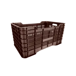 10 04 2024 06 15 43 181 VEU0076.009.png