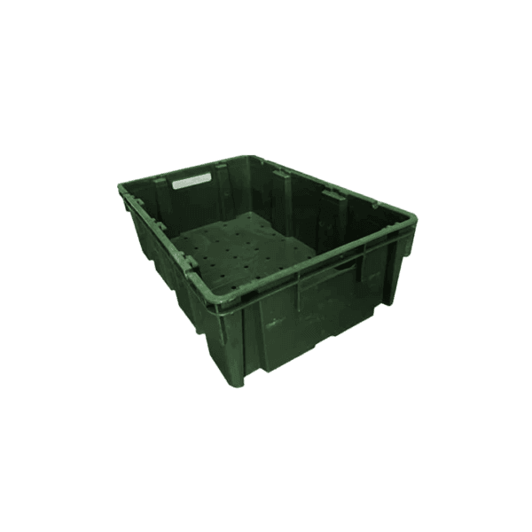 10 04 2024 06 15 53 673 VEU0082.005.png