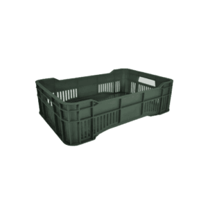 10 04 2024 06 16 04 088 VEU0089.012.png