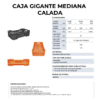 27 06 2024 04 54 14 937 VEU0077.005.png
