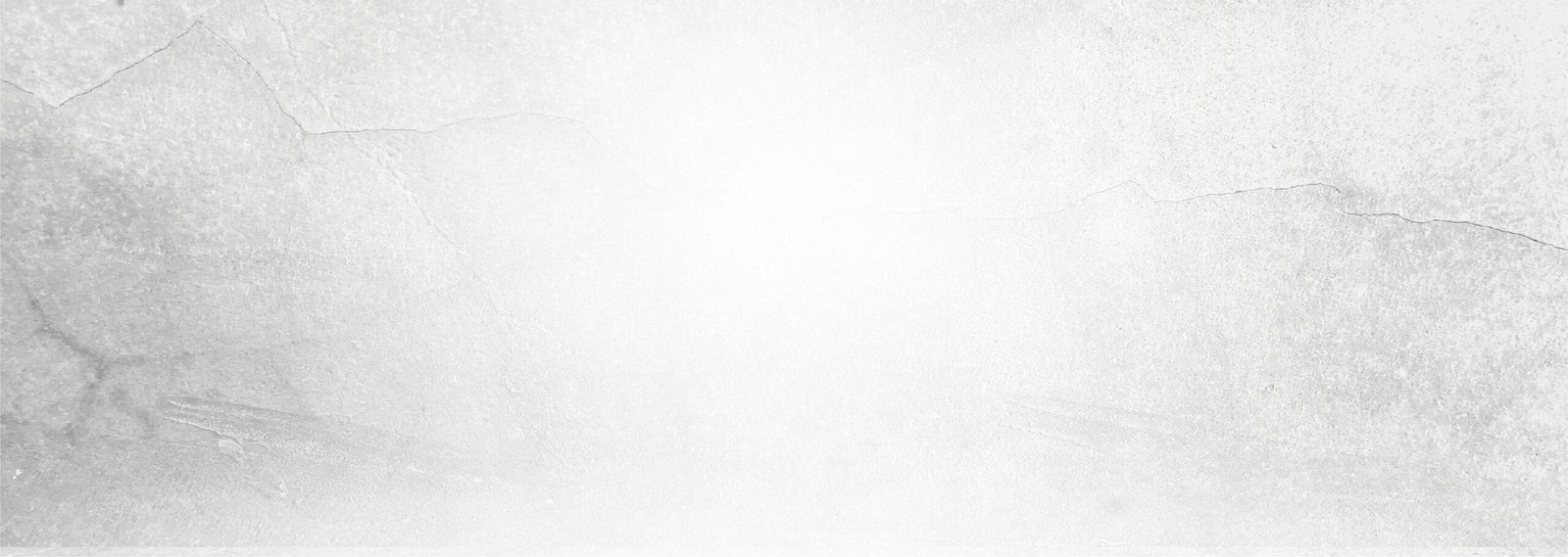 fondo blanco fondo blanco